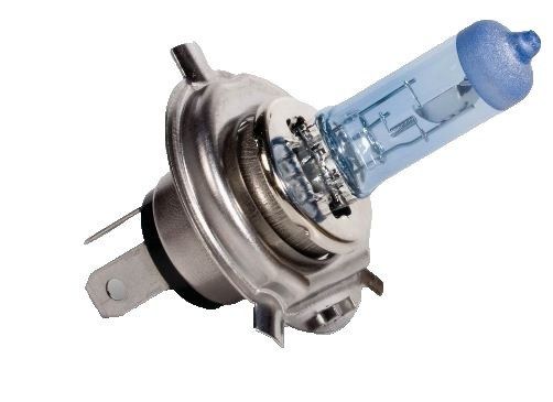 209500 H4 Bulbs&Fuses Repair Kit